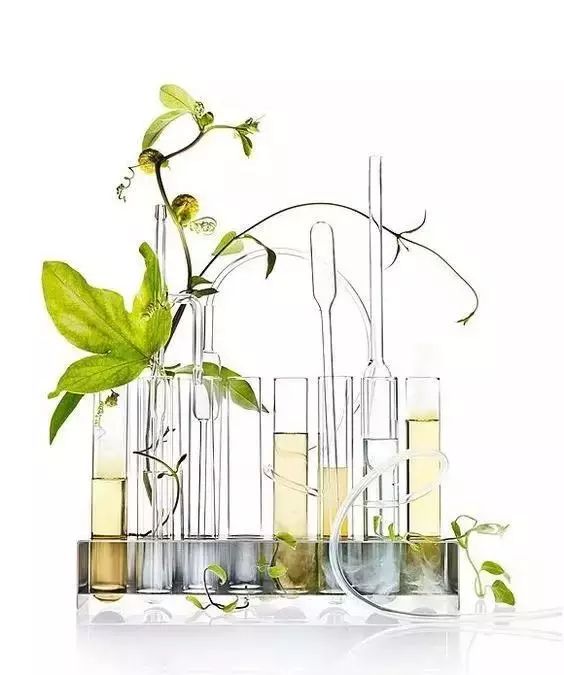 感官科學(xué)：如何通過香精創(chuàng)新提升日化產(chǎn)品的用戶體驗(yàn)？